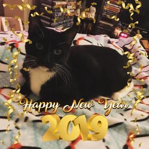 Meet your Posher, Meaghan